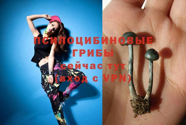 дурь Абаза